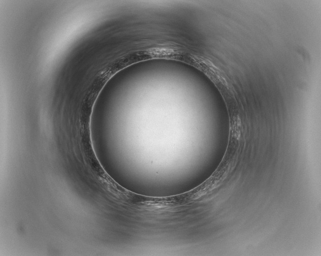 X0000116350763200912011410