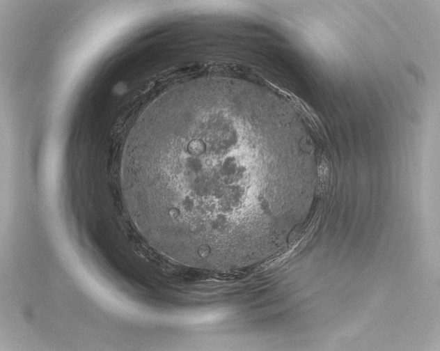 X0000116350765200912011410