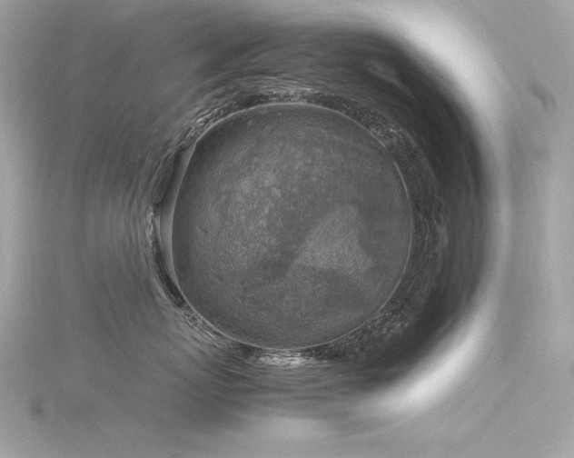 X0000116350767200912011410