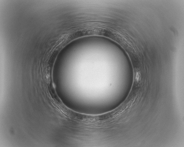 X0000116350771200912011410