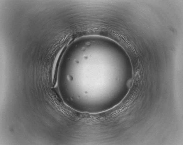 X0000116350772200912011410