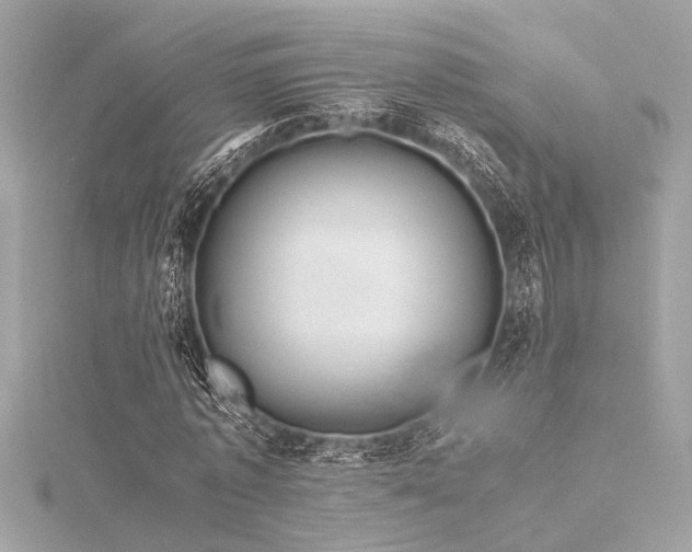 X0000116350773200912011410