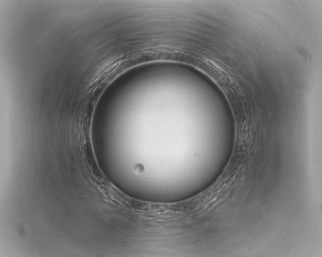 X0000116350774200912011410