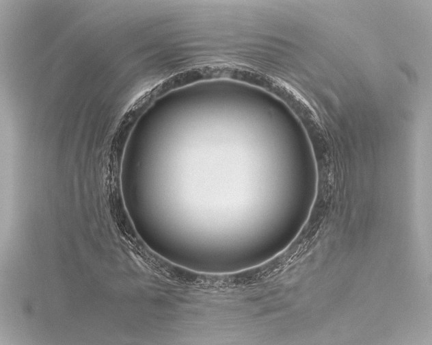 X0000116350775200912011410