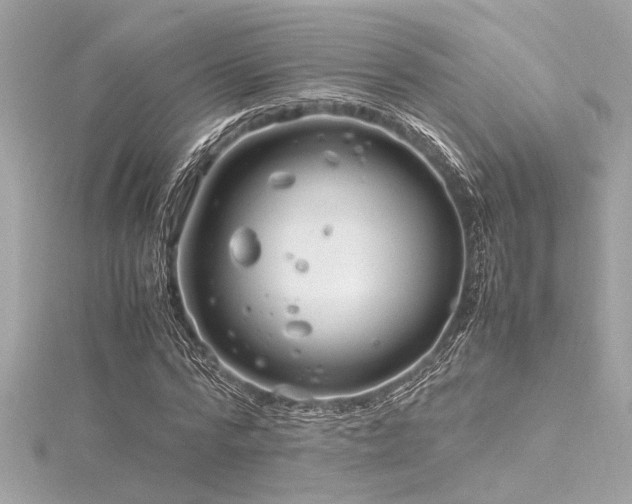 X0000116350776200912011410