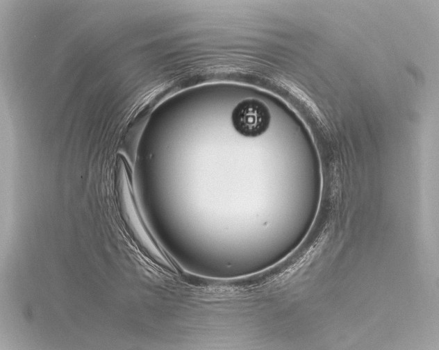 X0000116350777200912011410