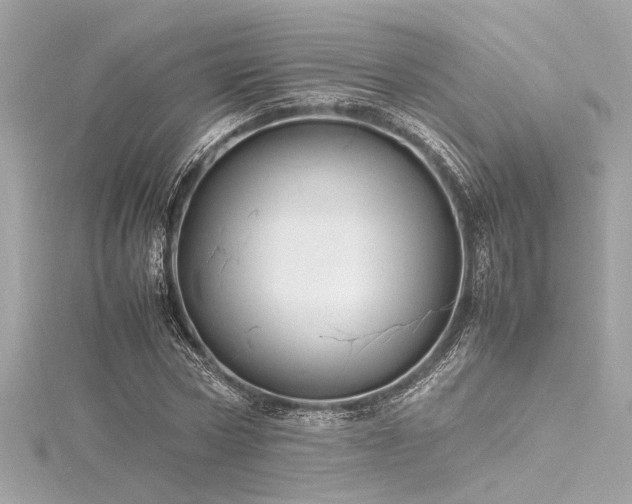 X0000116350778200912011410