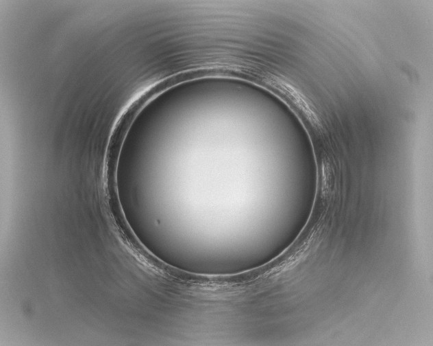 X0000116350780200912011409