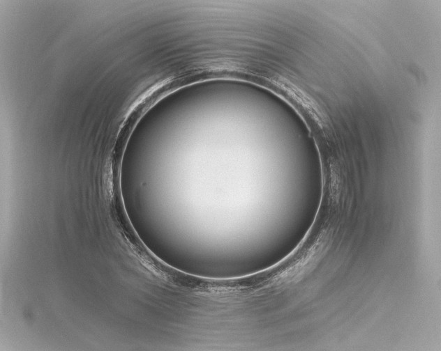 X0000116350782200912011409