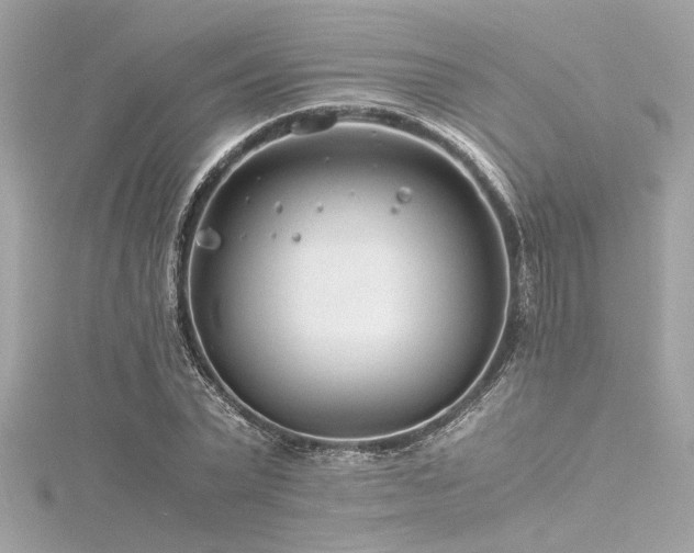 X0000116350783200912011409