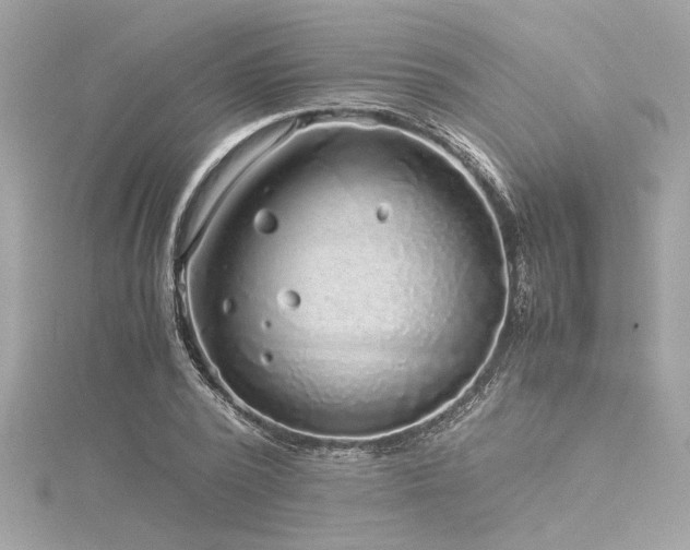 X0000116350784200912011409