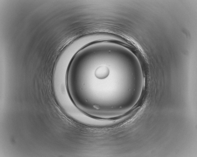 X0000116350785200912011409