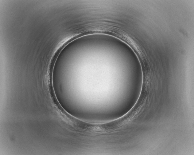 X0000116350787200912011409