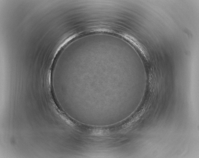 X0000116350790200912011409