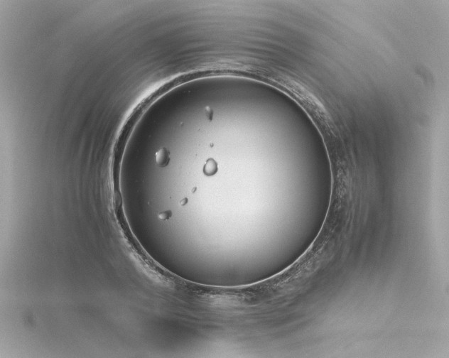 X0000116350792200912011409