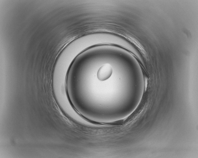 X0000116350793200912011409