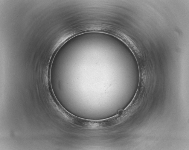 X0000116350794200912011409