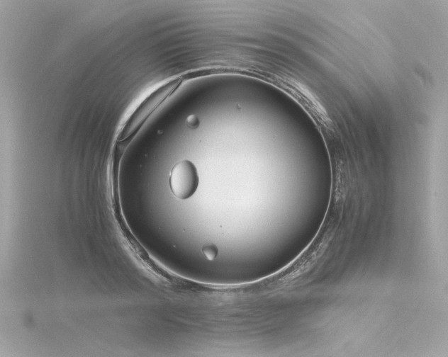 X0000116350796200912011409