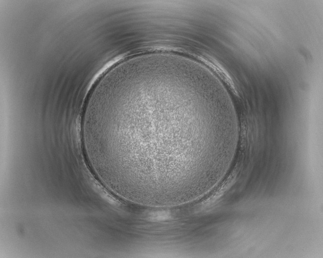 X0000116350798200912011409