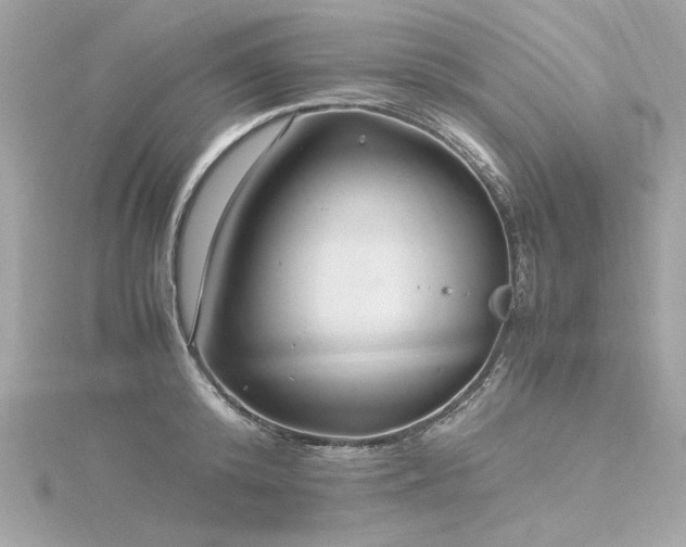 X0000116350800200912011409