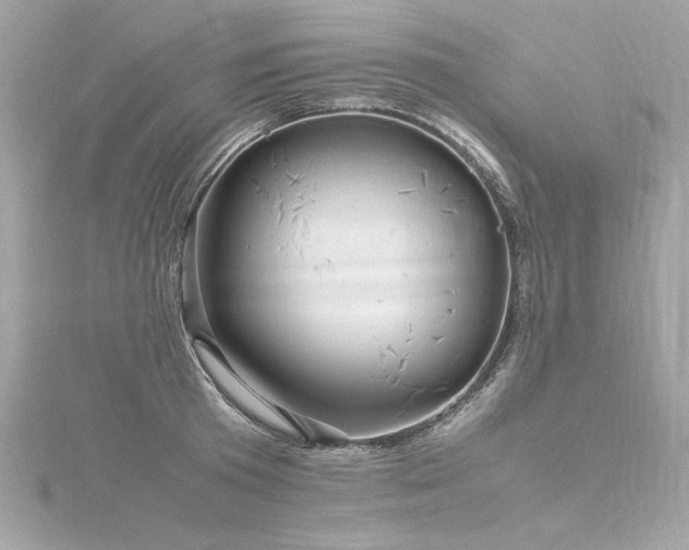 X0000116350801200912011409