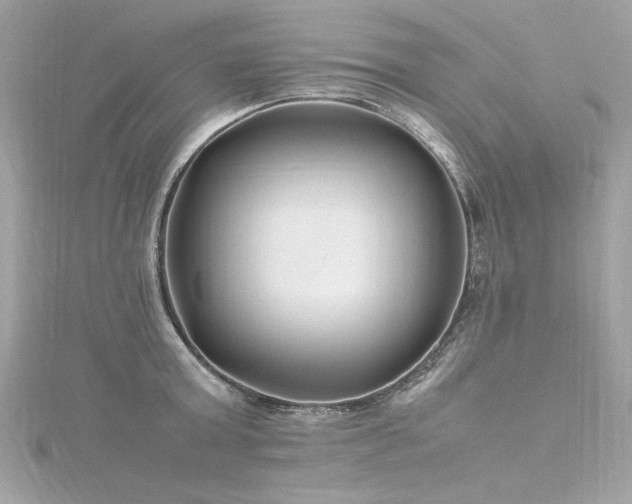 X0000116350803200912011409