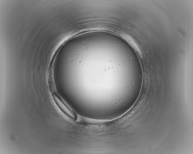 X0000116350805200912011409