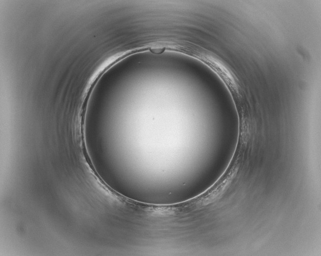 X0000116350808200912011409