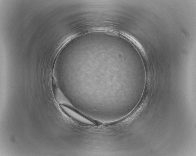 X0000116350809200912011409