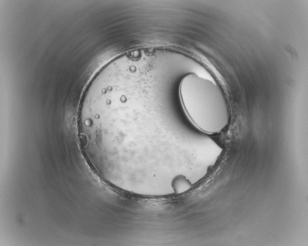 X0000116350810200912011409