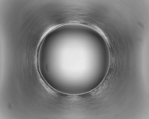 X0000116350811200912011409