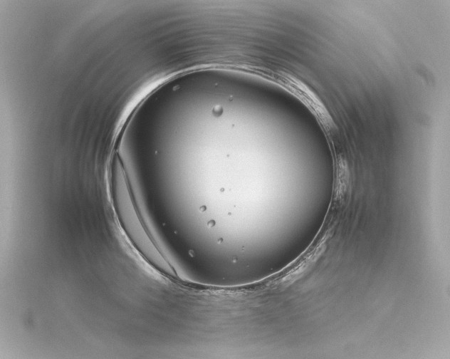 X0000116350812200912011409