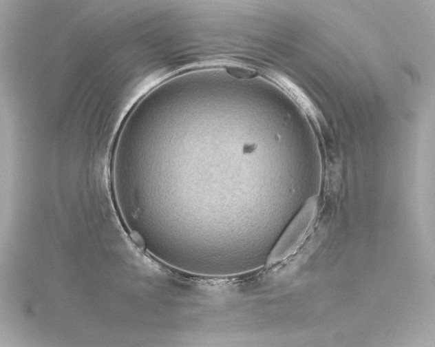 X0000116350813200912011409