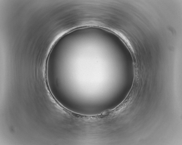 X0000116350815200912011409