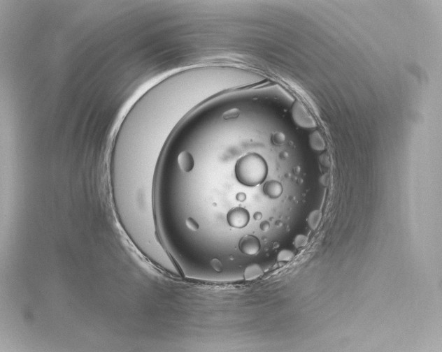 X0000116350816200912011409