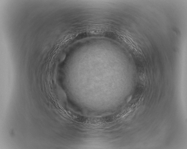 X0000116350817200912011408