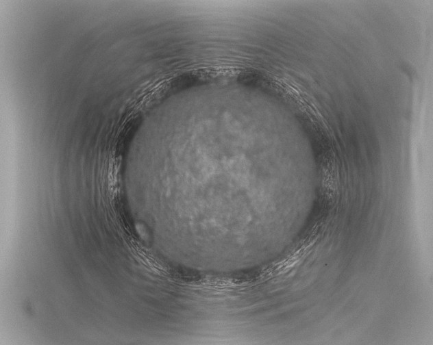 X0000116350818200912011408