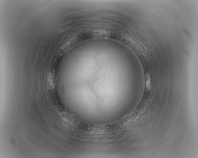 X0000116350819200912011408