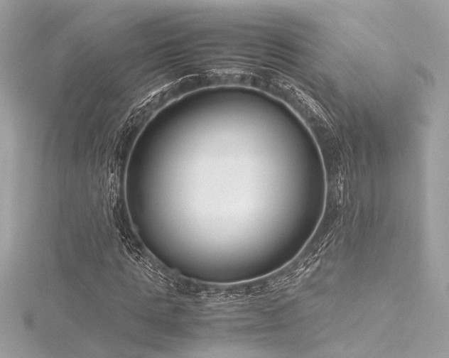 X0000116350821200912011408