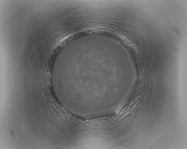 X0000116350822200912011408