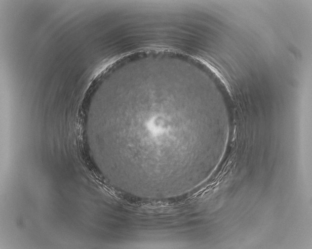 X0000116350823200912011408