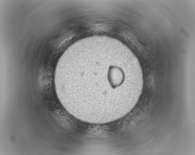 X0000116350824200912011408