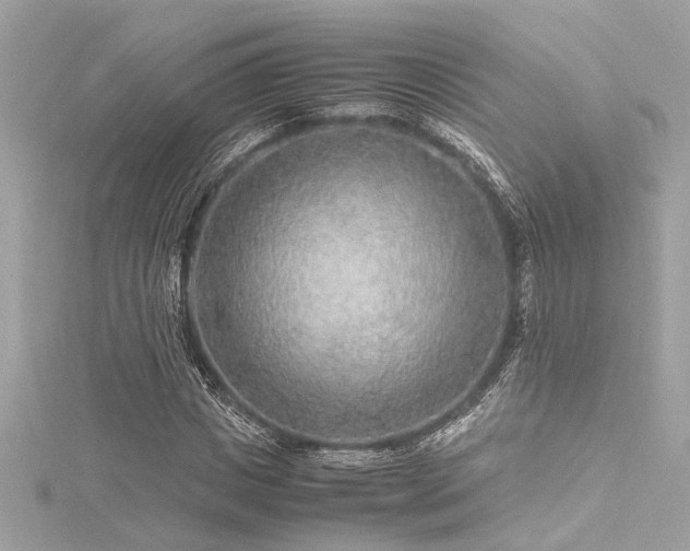 X0000116350825200912011409