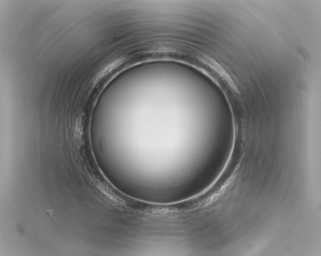 X0000116350826200912011409