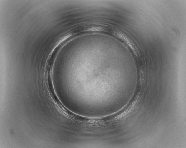 X0000116350827200912011409