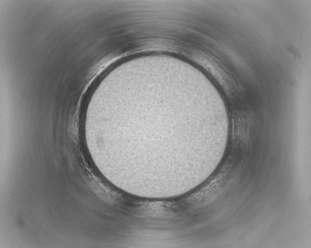 X0000116350828200912011409