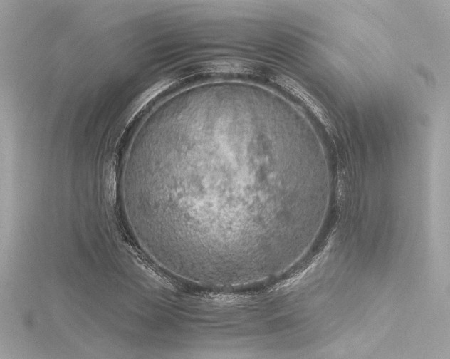 X0000116350829200912011409