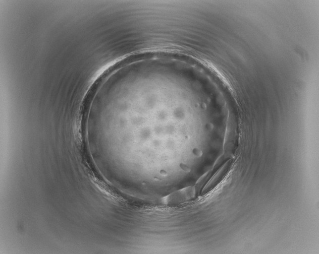 X0000116350830200912011409