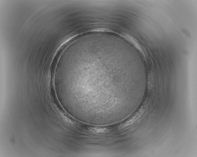 X0000116350831200912011409