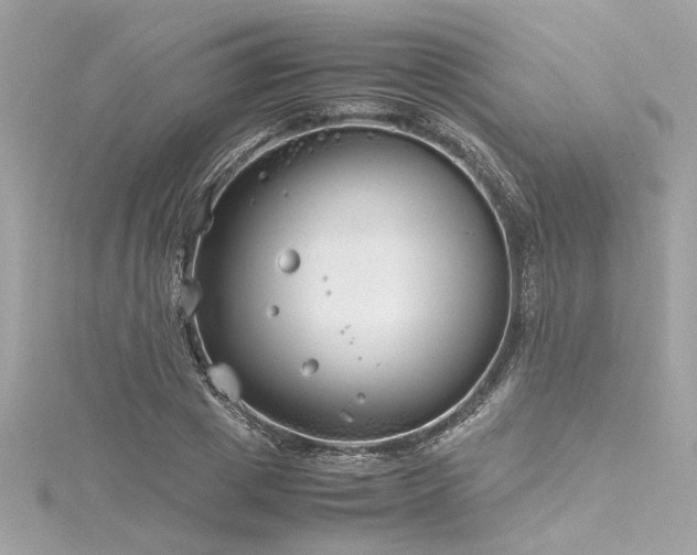 X0000116350833200912011409